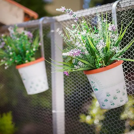 Mirjana アパート