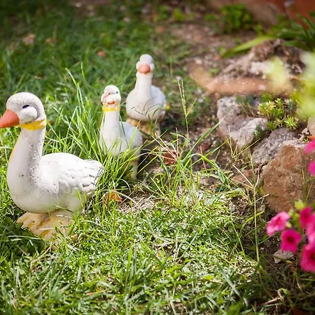 アパート Mirjana *