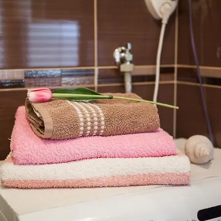 Mirjana Appartement *