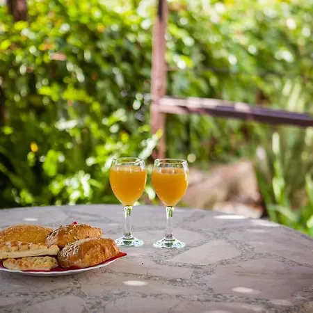 Appartement Mirjana *